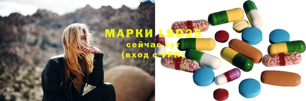 индика Абинск