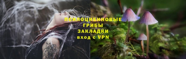 винт Алексин