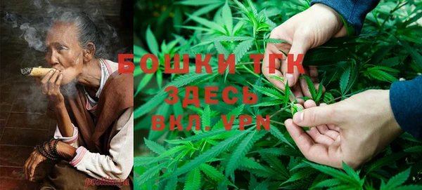 индика Абинск