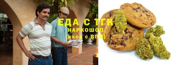 индика Абинск