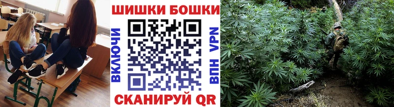 Каннабис конопля Северская